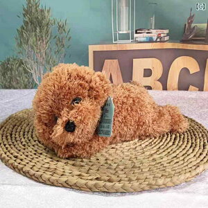 @ʂ݁@ 킢  q l`  v[h ʂ   D ̎q Mtg