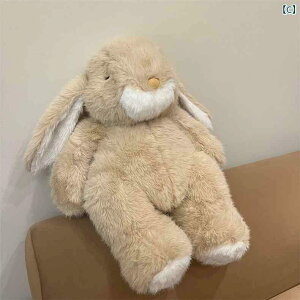 @ʂ݁@ ENMA STUDIO 킢 qp  RRA ۂ ʂ 傫  l` zf[Mtg