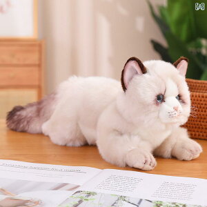 @ʂ݁@ Ă V~[V |jA ʂ L l`  i 킢 qL  K ̎q