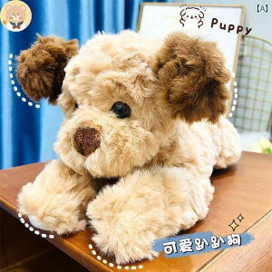 񂿂@l`@ q l` pp p Q  ʂ  ̎q Mtg Ԃ