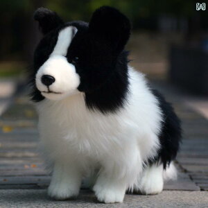 񂿂@l`@ 킢 {[_[R[ l` V~[V R[ ʂ  D ̎q a Mtg