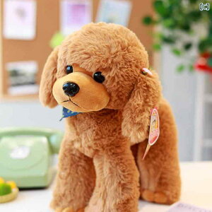 񂿂@l`@ 킢 v[h  l` efB ʂ V~[V ̎q q a v[g