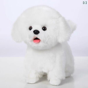 񂿂@l`@ r߂     i q ̎q Tiantian Wang Ԃ d V~[V ʂ ybg q