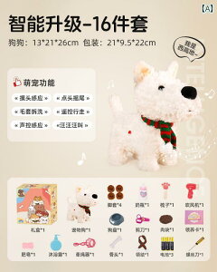 񂿂@l`@ qp ʂ q l`  U i V~[V Ԃ 킢 ybg 2025N