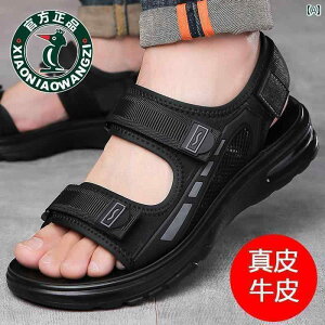 Y T_ Xbp Oulun Woodpecker GA NbV T_ Y AEghA t@bV r[` V[Y w