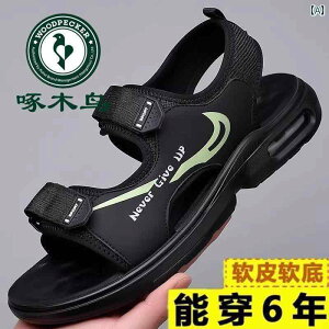 Y T_ Xbp EbhybJ[ T_  Y 2025 \tg \[ GA NbV r[` V[Y Y v JWA fA