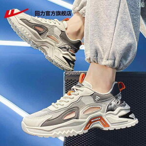 T_ jp JWA EHA[   X T_  Y 2025 ʋC AE^[EFA r[` X|[c YT_