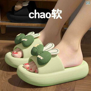 T_@킢@fB[X  AEghA Xbp p 2025 ~   ƒp T_