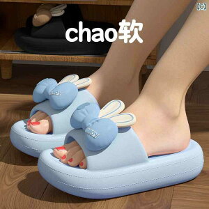 T_@킢@fB[X  AEghA Xbp p 2025 ~   ƒp T_