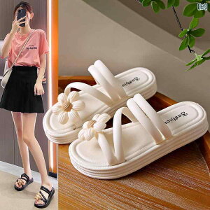 T_@킢@fB[X p ėp ItBXpV X^C ~ tFA[ JWA  t@bV AEghA r[` T_