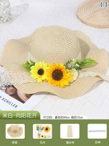 Xq@fB[X@킢 Ԃ  Xq DIY ޗ pbP[W t`nbg hCt[ Tnbg   Mtg