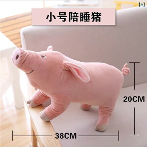 ���p�@�������� �r�V�����t���[�[�� ���� �� �� ��� �ߋ� �q���� �ދ� ���� ���݂� �h�~ ��n�� �y���� �Y ���