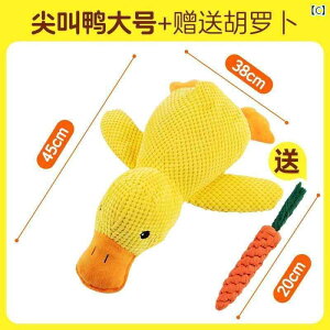 p@ ^  ދ̂  ^    h~ Q p Aq  pi