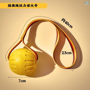 p@   {[ ݂ h~  ދ  A[eBt@Ng p vO {[_[R[p ^  S[fgo[ uh[