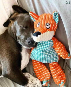 p@ AJ KONG ^  ^ ^ ݂ɂ іڂ  j C^NeBu    pb` N} Lcl