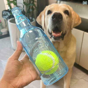 p@  傫 TEh ejX {[ S {g ybg   `[COK ݂ɂ   q ދ  C^NeBu