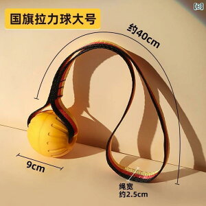 p@   {[ ^ p C^NeBu O TEh eV S[fgo[ {[_[R[ Pp ݂ h~ {[O A[eBt@Ng