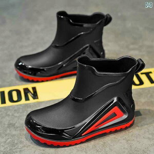 qp C qp Cu[c ̎q ėp j̎q \tg \[  TCY h ~ w ʊwp S C