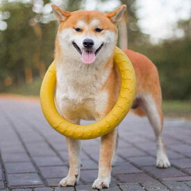犬用おもちゃ 噛むおもちゃ 丈夫 耐久性 ストレス解消 暇つぶし 引っ張り合い 投げる 浮く ボール リング型 大型犬 中型犬 ゴールデンレトリバー ラブラドール 歯磨き デンタルケア 運動不足解消 遊び道具 知育 訓練 しつけ グッズ 噛み癖 対策 安