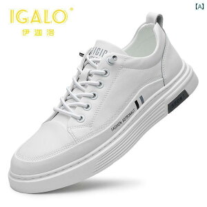 Y X^CbV Xj[J[ v zCg V[Y YV[Y 2025 ʋC X|[c YJWA Xj[J[