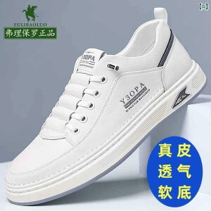 Y C Xj[J[ |[  YV[Y v v JWA zCg V[Y Y t ʋC {[h YV[Y