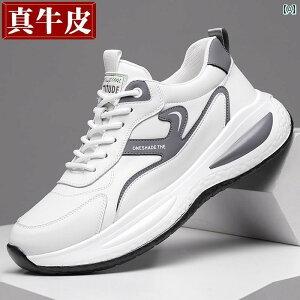 Y C Xj[J[ 2025N YV[Y ʋC  Y X|[c V[Y YJWA v g Abv {[h