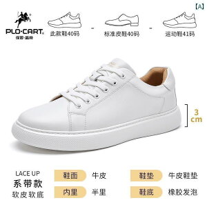 Y C Xj[J[ |[QbeB YV[Y 2025 YXj[J[ v zCg V[Y X|[c JWA 傫TCY