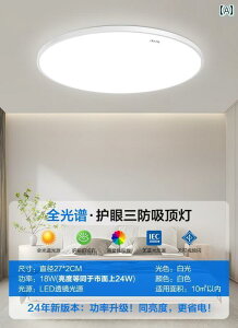 ԐڏƖ  t XyNg LED V[O v xbh [ 2025 }X^[ Vv _ ڂ ی q  R