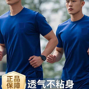 Y  XEFbg Zbg Ă  tBbglX X[c TVc A` V[g AEghA X|[cEFA EhlbN gbv ʋC 