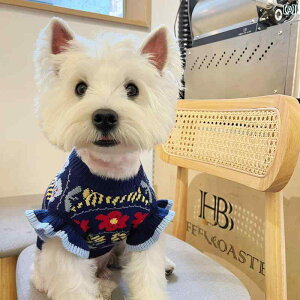 p Z[^[ J[fBK H~ ybg   ptX[u ViEU[ EGXg nCh ^ g Z[^[ [XX[u JWA