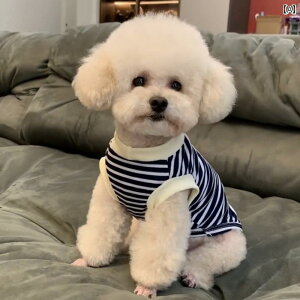 p Z[^[ J[fBK  O t  H 2024 ؍ 킢 efB rV XgCv tH CO Vc