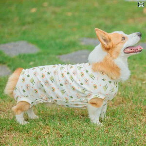 ybgp xXg   z[  pW}   ybg l{  xXg tH R[M[ rV QԒ