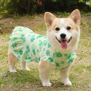 ybgp xXg  Č R[M[ rV efB   t  ʋC bV vZX XJ[g Ăh~ N[xXg