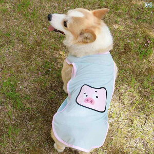 ybgp xXg  R[M[ Č _bNXth rVt[[   t   Ăh~  h~  lbg xXg