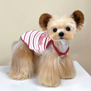 ybgp xXg  Xiaotianzhou  Lp ybg  ^ p ėp xXg [NV[eA  XgCv TXy_[