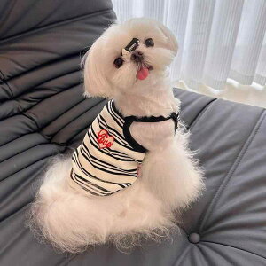 ybgp xXg  p ĕ XgCv xXg TXy_[ Ăh~  ʋC ^  rV efB }`[Y