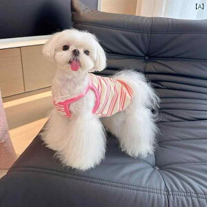 ybgp xXg  炵  xXg ybg L q  Ăh~  efB rV }`[Y  