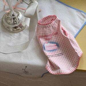 ybgp xXg  p tĕ `FbN  xXg TXy_[ Ăh~  ʋC ^  rV efB }`[Y