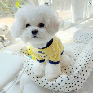 ybgp xXg  2025 TVc xXg ybg L rV ViEU[ efB   t  X^C