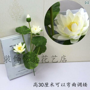 CeA ANZT[ DIY p tFCN @     i ~  ω d