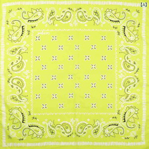 XJ[t JWA  tĂ AJ wbh XJ[t jZbNX  50 x JV[  ` lbg wA oh