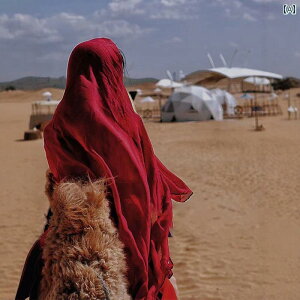 XJ[t JWA  hoC GWvg  s ʐ^   Ԃ XJ[t p  r[` Ăh~ 傫 V[ wbh