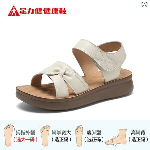 NT_ Zulijian   X Ă W[ y  AEghA ~ r[` T_ p