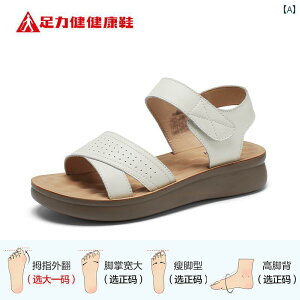 NT_ Zulijian җp V[Y T_ fB[X 2025 ʋC AEghA  [WF[ z[ U[V[Y