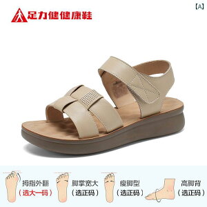 NT_ Zulijian 2025 }U[ V[Y ~ K r[` T_ \tg \[ fB[XV[Y Xbp