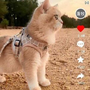 L U ObY L  [v xXg X^C A` uCNAEFC J[ EH[LO  i[ Xgbv K