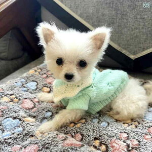 p Z[^[ J[fBK   q ^ efB |jA rV [NV[ ViEU[ ~p g Z[^[