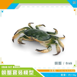 �q���p ����ߋ� ���A�� �C�m���� �J�j �͌^ �O��I �V�ՊI �^�I ���� �u�� �w�K �C���e���A �t�B�M���A �����ώ@