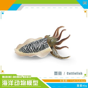 �q���p �C�m���� ����͌^ ���A�� �t�B�M���A �C�J �i�[�X�V���[�N �V���i�K�X�N�W�� �Z�~�N�W�� �U�g�E�N�W�� �C���J �w�K�ߋ� �F�m �C�m���� �R���N�V���� �u��
