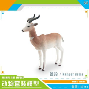�쐶���� ���A���͌^ �t�B�M���A �ߋ� ��㷗r �c�m�R�r �Y�V�J �T�C�K �����R���N�V���� �f�B�e�[���Č� �q������ �C���e���A���� ����ߋ� ���R�ώ@ ���A���X�P�[�� �ϋv�f�� �����V�� ��